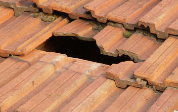 roof repair Burmarsh